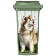 Husky Poking His Tounge Out Wheelie Bin Sticker Panel